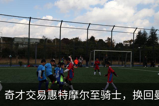 奇才交易惠特摩尔至骑士，换回曼恩与未来选秀权